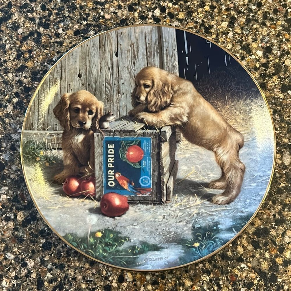 NEW Jim Lamb Puppy Playtime Double Take 8 1/2” Plate - Picture 5 of 5